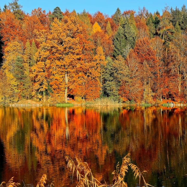 It's Fall, Y'all!